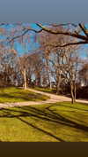 calyen Altpins Profile Picture
