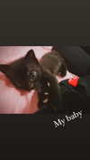 calyen Altpins Profile Picture
