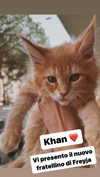 calyen Altpins Profile Picture
