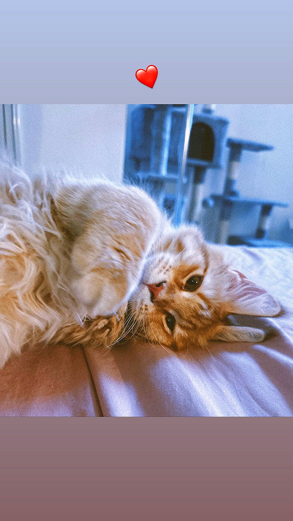 calyen instagram image archive image