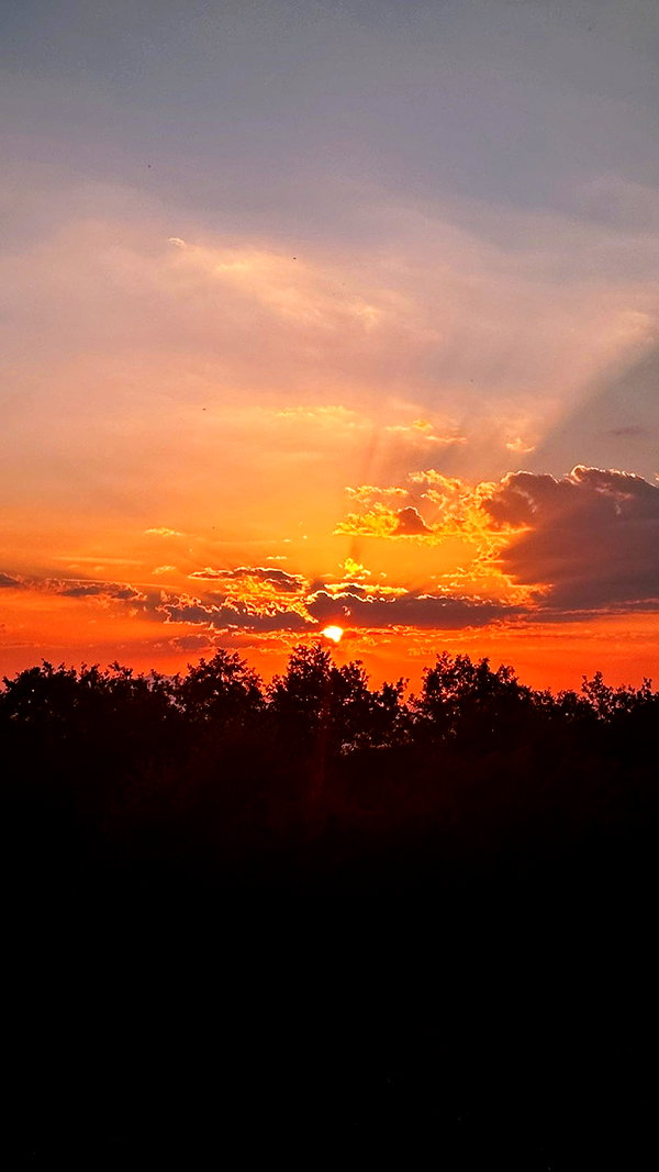 calyen calyen archive image