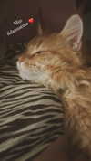calyen Altpins Profile Picture
