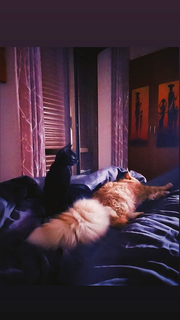 calyen instagram image archive image