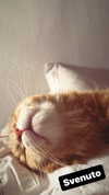 calyen Altpins Profile Picture