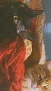 calyen Altpins Profile Picture
