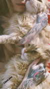 calyen Altpins Profile Picture