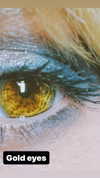 calyen Altpins Profile Picture