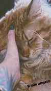 calyen Altpins Profile Picture