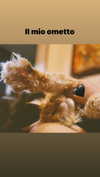 calyen Altpins Profile Picture