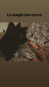 calyen Altpins Profile Picture