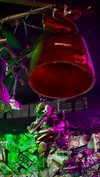 calyen Altpins Profile Picture