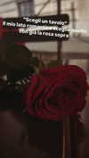 calyen Altpins Profile Picture