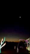 calyen Altpins Profile Picture