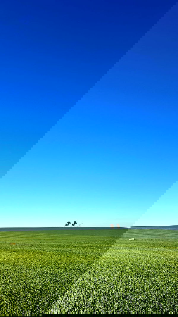 canabaputgir canabaputgir archive image