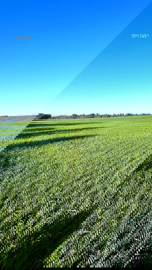 canabaputgir canabaputgir archive image