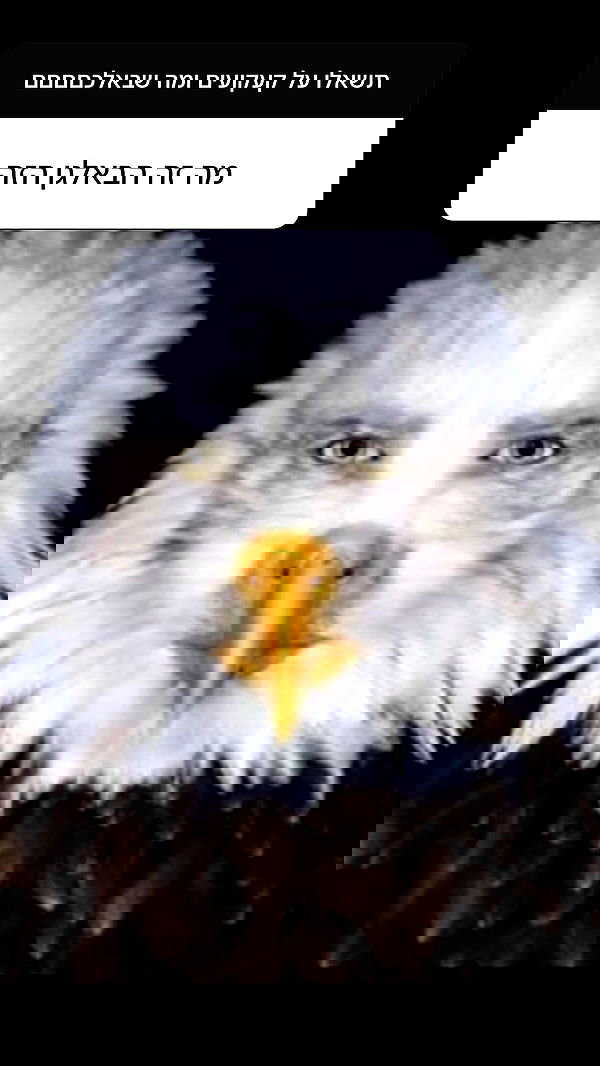 canabaputgir canabaputgir archive image