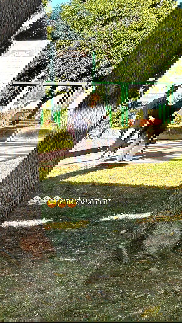 canabaputgir canabaputgir archive image