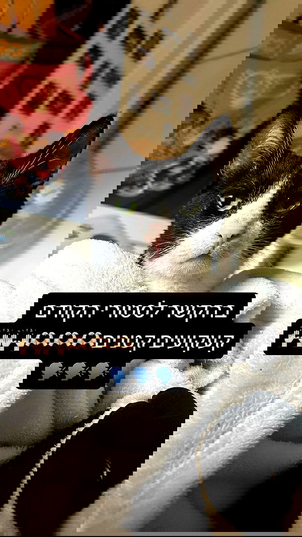 canabaputgir canabaputgir archive image