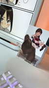 candy_balll Altpins Profile Picture