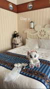 candy_balll Altpins Profile Picture