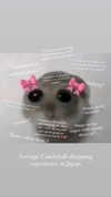 candy_balll Altpins Profile Picture
