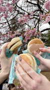 candy_balll Altpins Profile Picture
