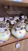 candy_balll Altpins Profile Picture