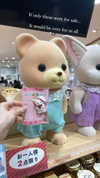 candy_balll Altpins Profile Picture