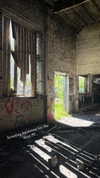 candy_balll Altpins Profile Picture