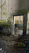 candy_balll Altpins Profile Picture