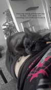 candy_balll Altpins Profile Picture