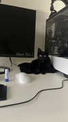 candy_balll Altpins Profile Picture