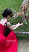 candy_balll Altpins Profile Picture