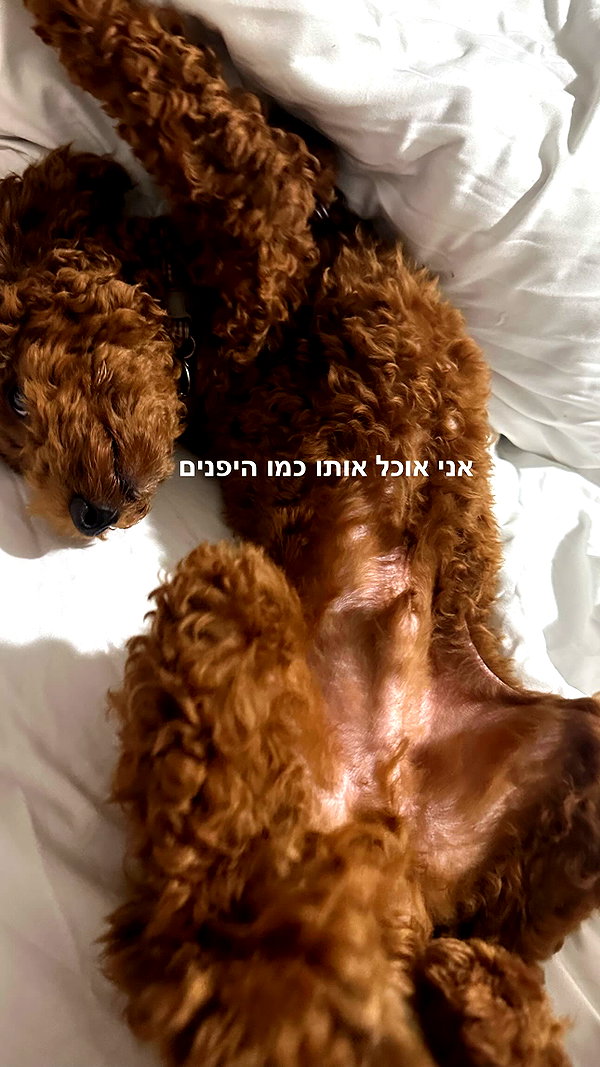 carmonoam instagram image archive image