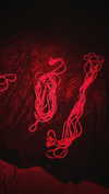 carolinesometimes Altpins Profile Picture