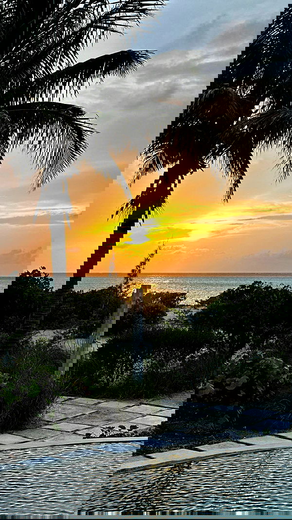 carolinezalog carolinezalog archive image