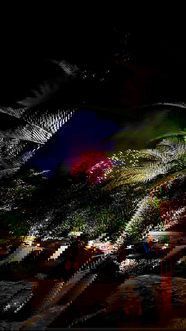 carolinezalog carolinezalog archive image