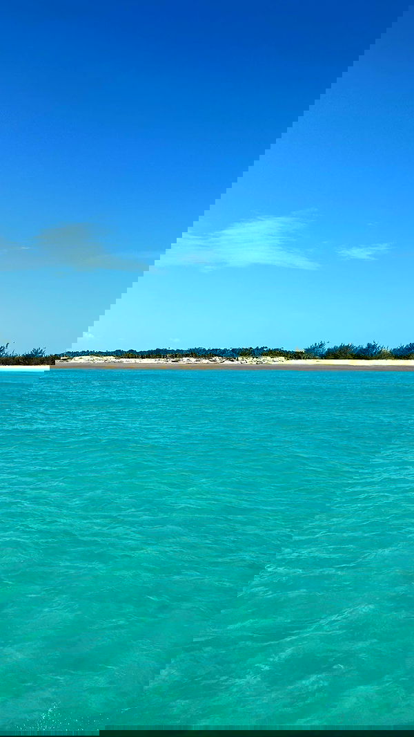 carolinezalog carolinezalog archive image