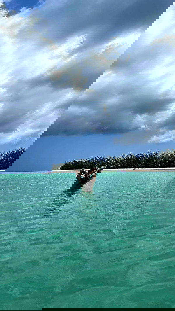 carolinezalog carolinezalog archive image