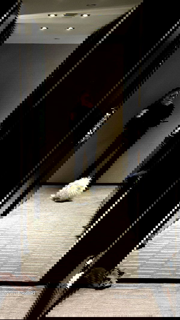 carolinezalog carolinezalog archive image