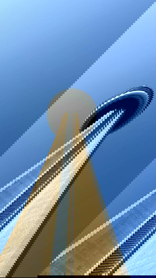 carolinezalog carolinezalog archive image