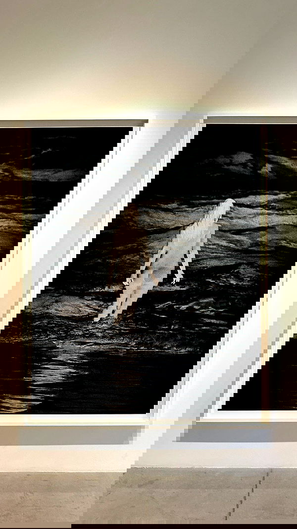 carolinezalog carolinezalog archive image