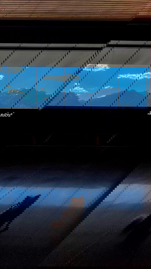 carolinezalog carolinezalog archive image