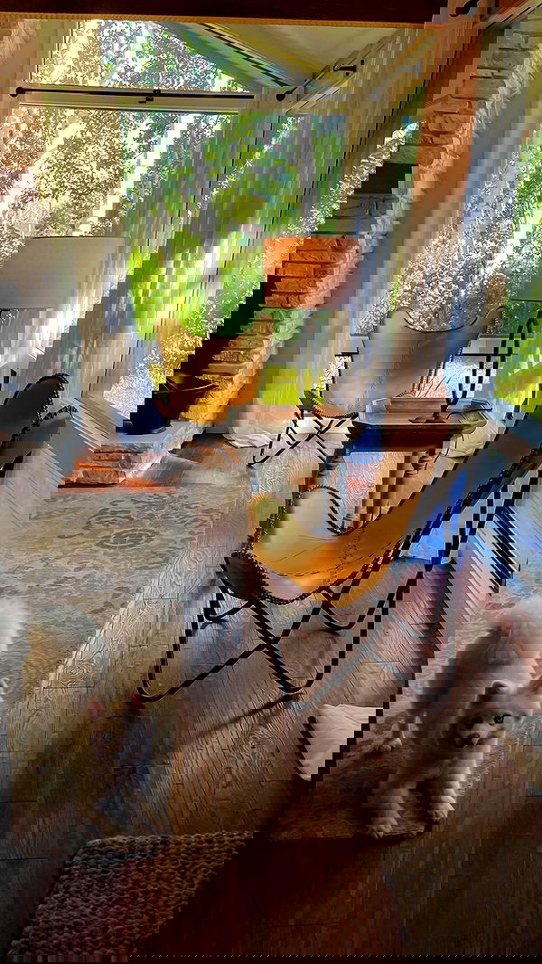 carolinezalog carolinezalog archive image