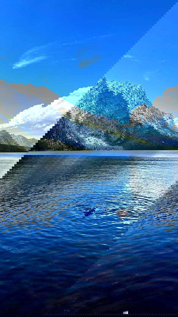 carolinezalog carolinezalog archive image