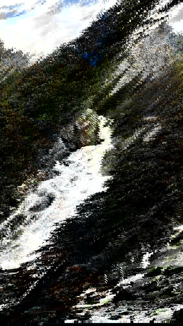 carolinezalog carolinezalog archive image