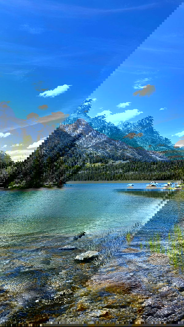 carolinezalog carolinezalog archive image