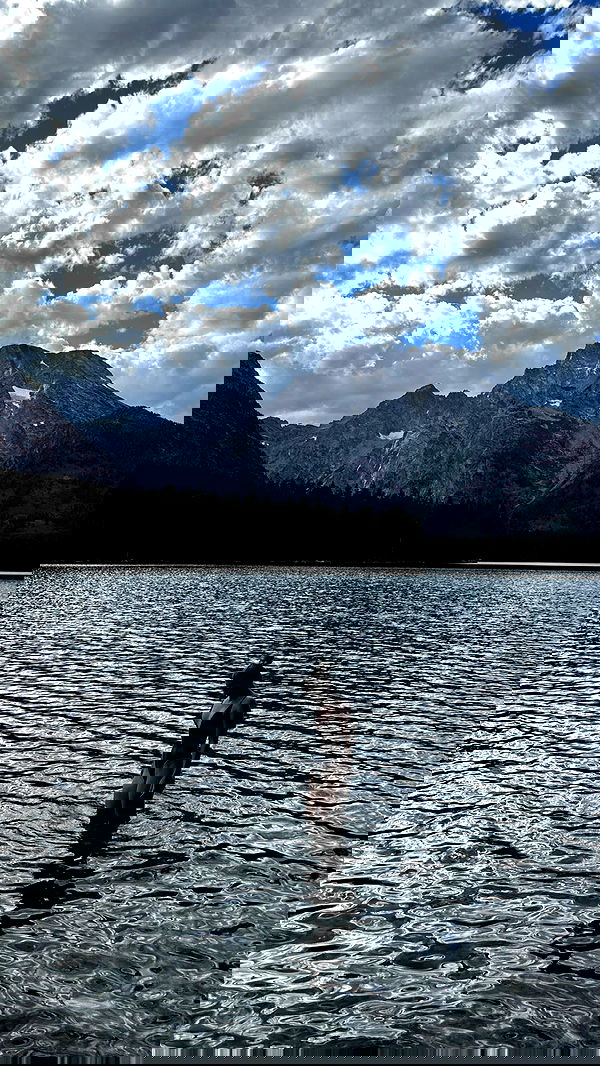 carolinezalog carolinezalog archive image