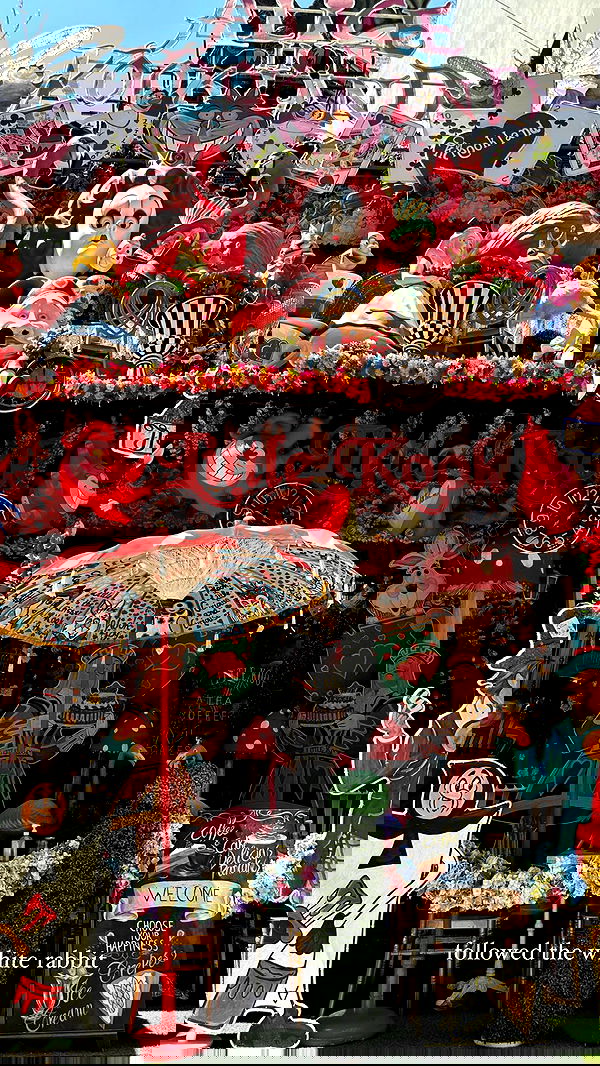 carolinezalog carolinezalog archive image