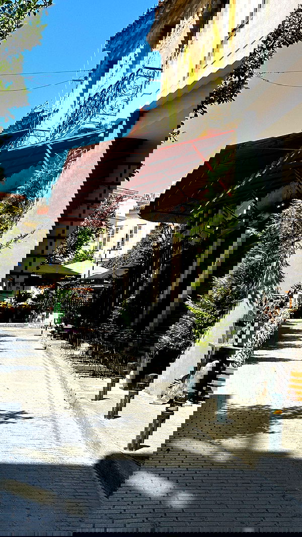 carolinezalog carolinezalog archive image